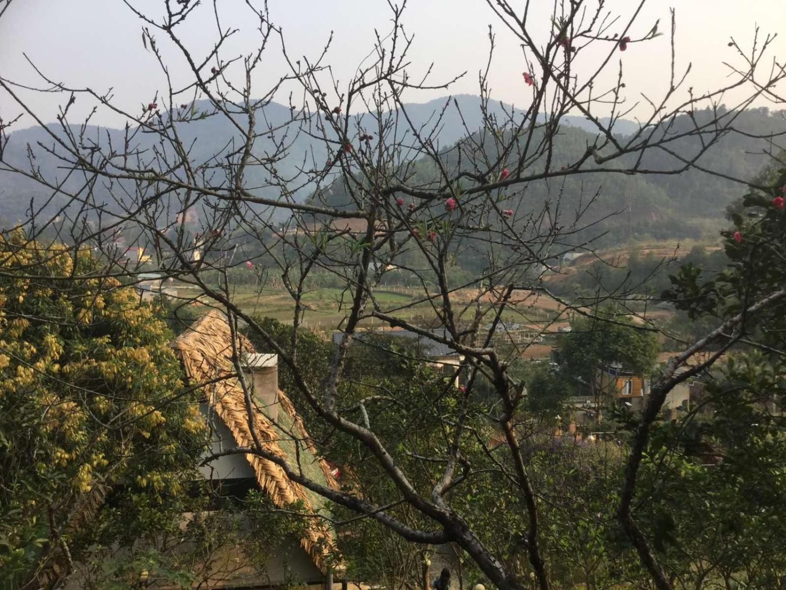 Lagom Village Ανόι Εξωτερικό φωτογραφία